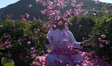 Taif: Une utilisation durable de l'eau permet l'exportation des roses saoudiennes au niveau mondial