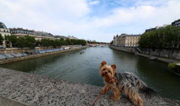 Le Pont-Neuf à Paris habillé «en grotte» en septembre, hommage à Christo signé JR