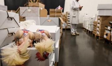 La France a perdu son « statut indemne » à la suite de la détection d'un deuxième foyer de grippe aviaire