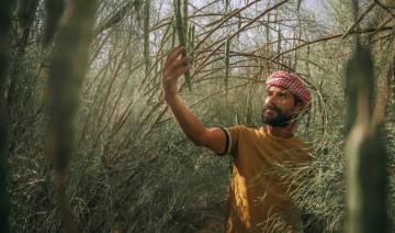 L'huile de peregrina d'Arabie saoudite, nouvelle perle du monde de la beauté