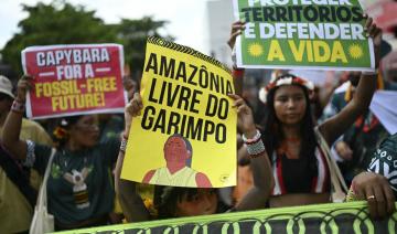 Quatre banques françaises accusées par des ONG de financer la déforestation en Amazonie