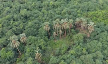 8 ONG rejoignent la campagne nationale saoudienne pour la végétation