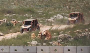 L'armée israélienne confirme que le soldat photographié frappant une statue de Jésus est israélien