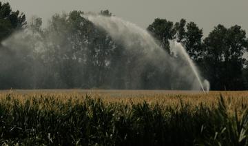 Après un été dévastateur, l'agriculture écartelée face au mur de la transition 