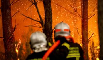 Canicules en séries : les refuges de faune sauvage face à un afflux inédit